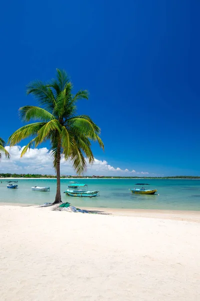 Playa tropical en día soleado — Foto de Stock