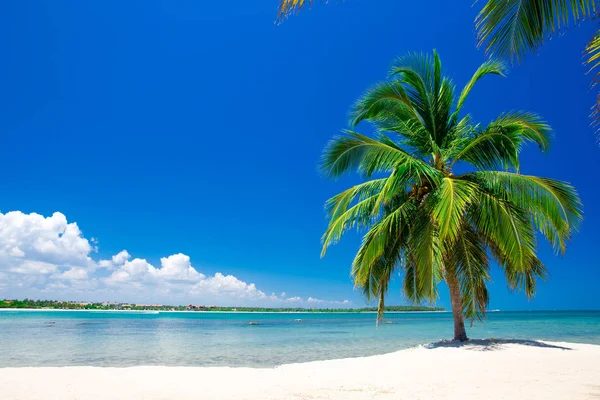 Tropisk strand på solskinnsdag – stockfoto