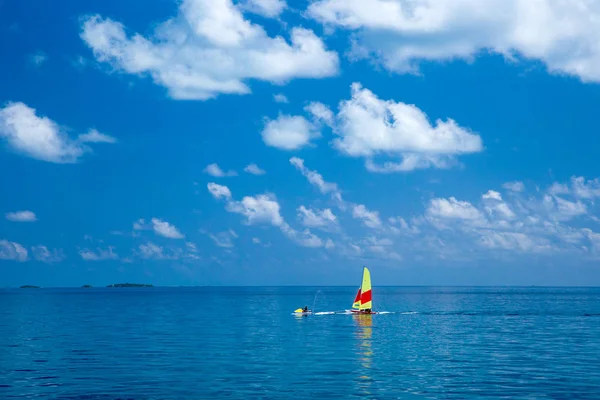 güneşli tropikal plaj