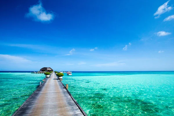 Tropischer Strand an sonnigen Tagen — Stockfoto