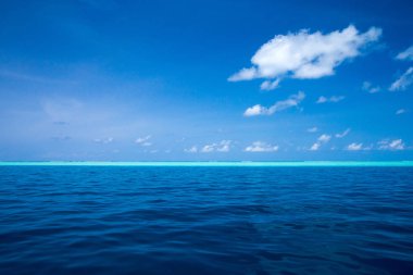 plaj ve tropikal deniz