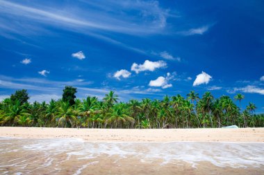 Avuç içi ve tropik plaj