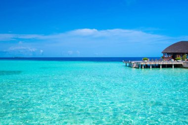 Maldivler 'de birkaç palmiye ağacı ve mavi lagünü olan tropik plaj