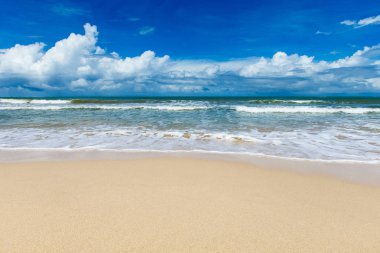 plaj ve tropikal deniz