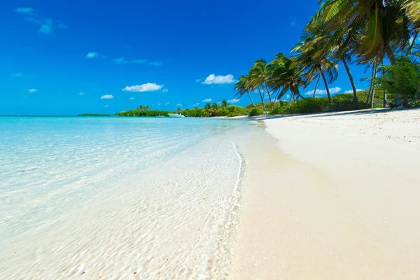 Fond Plage Été Sable Mer Ciel — Photo