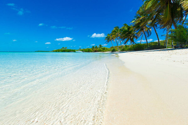 Summer beach background. Sand and sea and sky