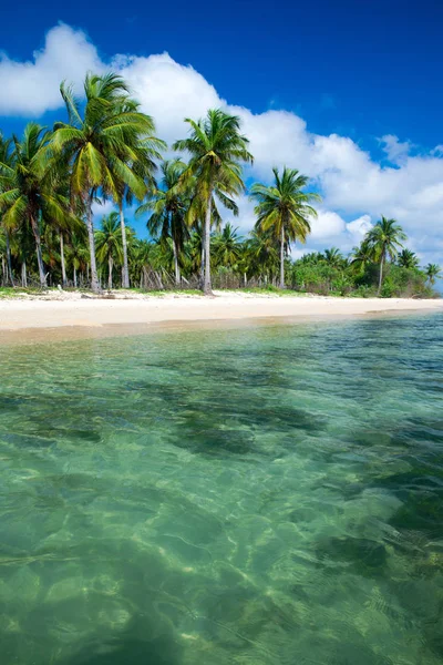 ヤシの木と青いラグーンと熱帯のビーチ — ストック写真
