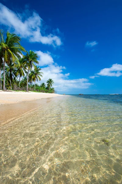 Tropická Pláž Palmami Modrá Laguna — Stock fotografie