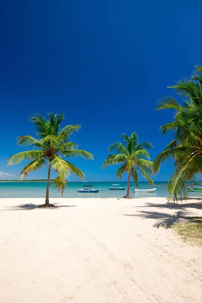 Plaża Tropikalne Morze — Zdjęcie stockowe