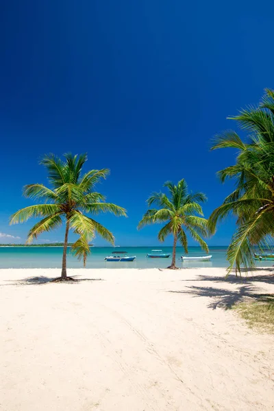 Playa Mar Tropical — Foto de Stock