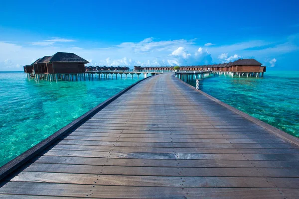 Isla Tropical Maldivas Con Playa — Foto de Stock