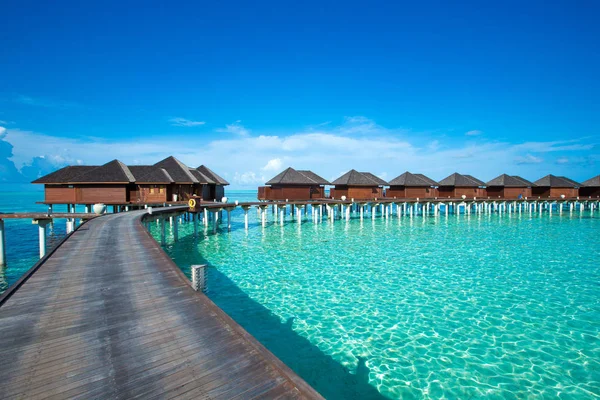 Тропический Мальдивский Остров Пляжем — стоковое фото