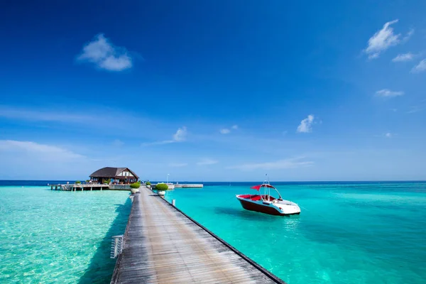 Praia Tropical Maldivas Com Poucas Palmeiras Lagoa Azul — Fotografia de Stock