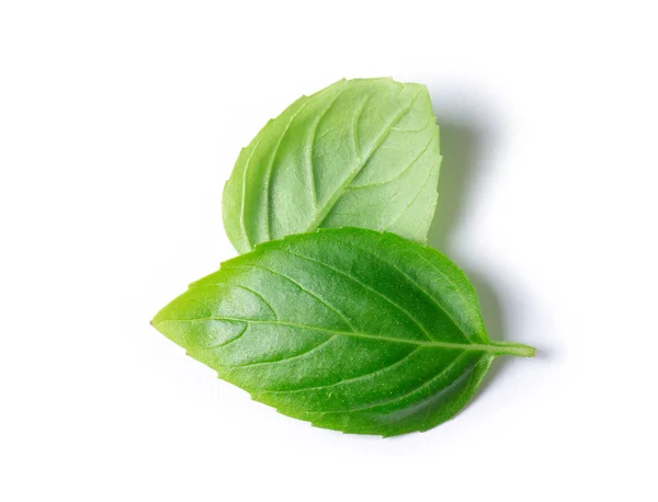 Feuilles Herbe Basilic Isolées Sur Fond Blanc Gros Plan — Photo