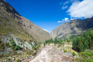 Cuzco dan Peru demiryolu Machu Picchu (Peru için)