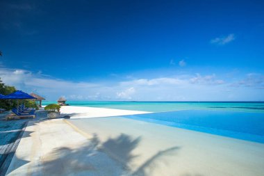 Maldivler 'de birkaç palmiye ağacı ve mavi lagünü olan tropik plaj