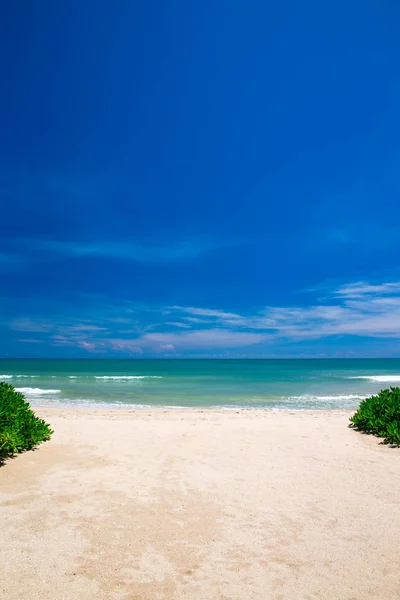 美しいビーチと静かな熱帯の海 — ストック写真