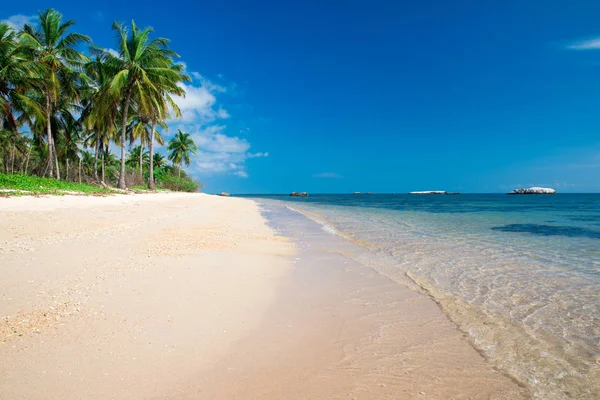 Красивый Пляж Спокойное Тропическое Море — стоковое фото