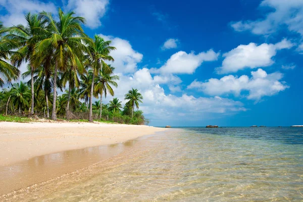 Praia Tropical Com Palmeiras Lagoa Azul — Fotografia de Stock