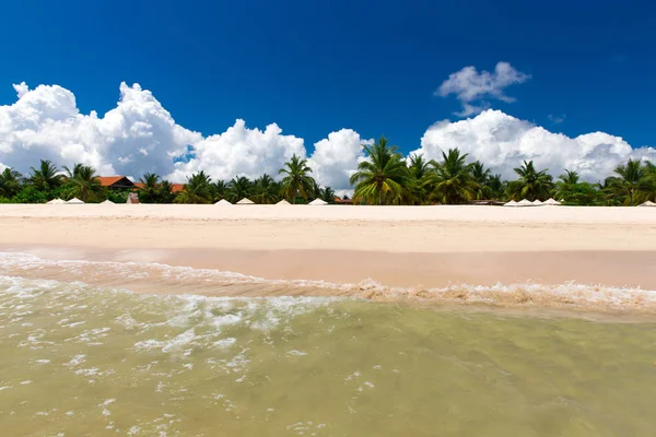 Vacker Strand Och Lugna Tropiska Havet — Stockfoto