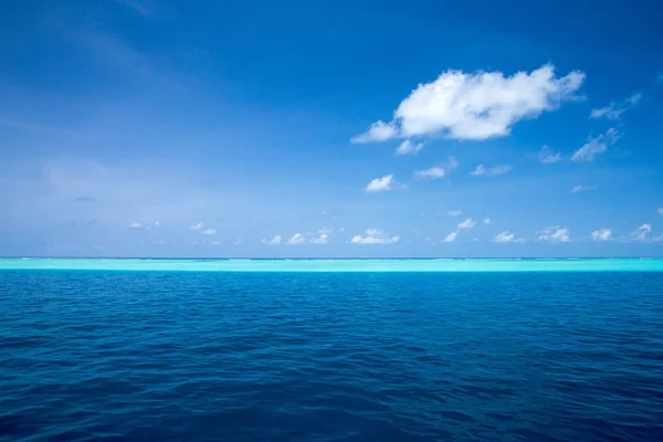 Praia Tropical Maldivas Com Poucas Palmeiras Lagoa Azul — Fotografia de Stock