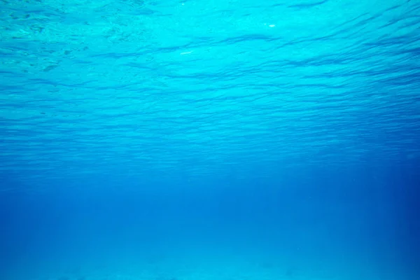 Rustige Onderwater Scene Met Kopieerruimte — Stockfoto