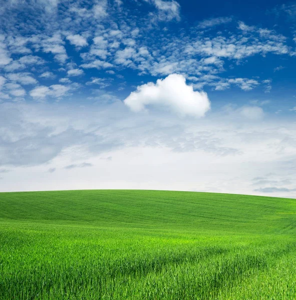 草场和完美的蓝天 — 图库照片
