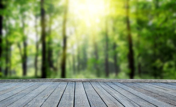 Mesa Madera Cubierta Con Fondo Forestal —  Fotos de Stock