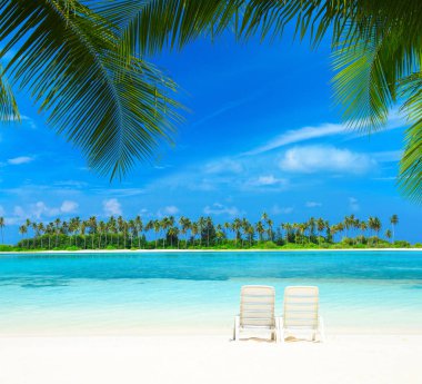 Maldivler doğa manzara içinde tropikal plaj 