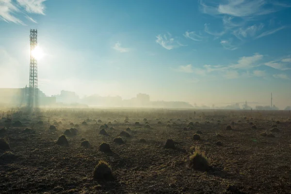 Густой Утренний Туман Летнем Поле — стоковое фото