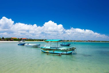 palmiye ağaçları ve mavi lagün ile tropikal plaj