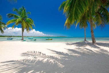 Avuç içi ve tropik plaj