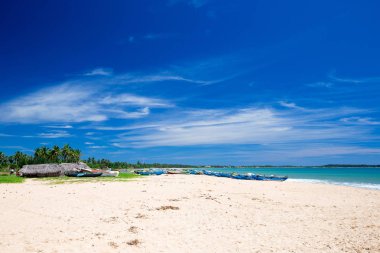 plaj ve tropikal deniz