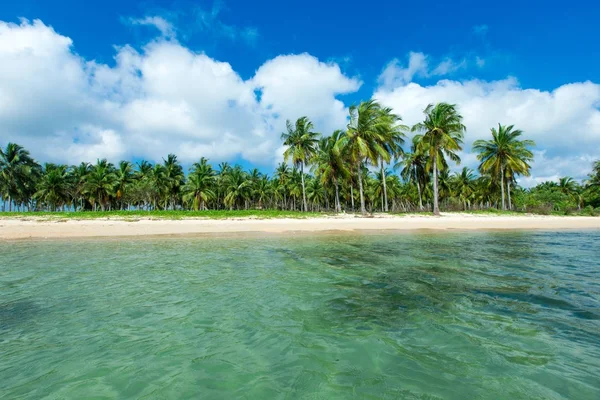 Spiaggia Mare Tropicale — Foto Stock