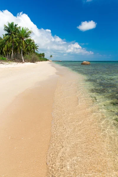 Spiaggia Mare Tropicale — Foto Stock