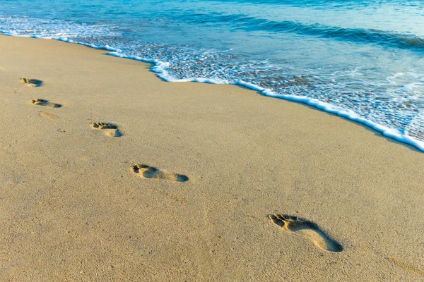 Тропічний Пляж Шрі Ланці — стокове фото