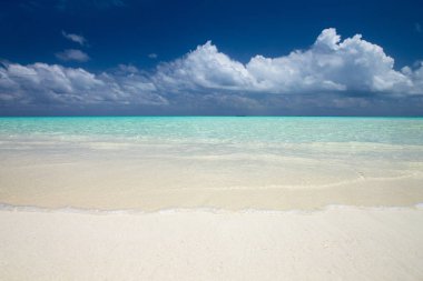 Maldivler 'deki tropik cennet manzarası