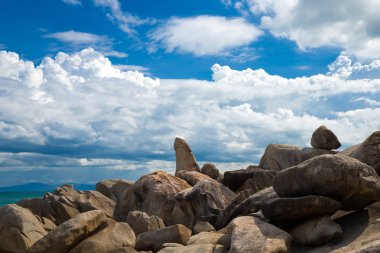 Güzel sahil ve tropikal deniz