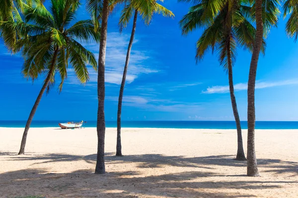 Playa Mar Tropical — Foto de Stock