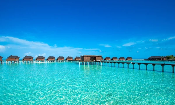 Belle Île Tropicale Des Maldives Avec Plage — Photo