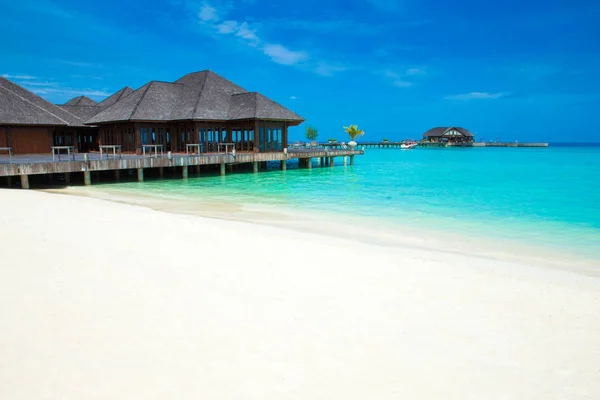 Île Tropicale Des Maldives Avec Plage — Photo