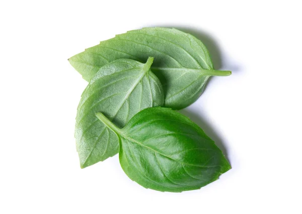 Green Basil Leaves Isolated White Background — Stock Photo, Image