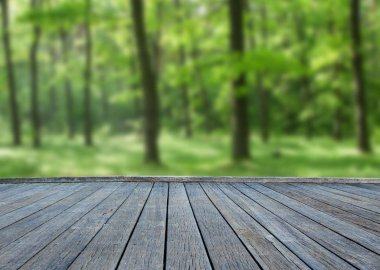  ahşap güverte tablo orman arka plan ile