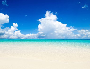 Maldivler doğa manzara içinde tropikal plaj 