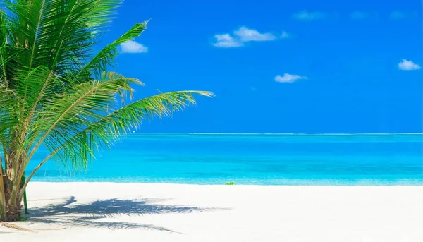 Tropical Beach Maldives Nature Landscape — Stock Photo, Image