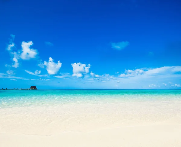 Playa Tropical Maldivas Naturaleza Paisaje — Foto de Stock