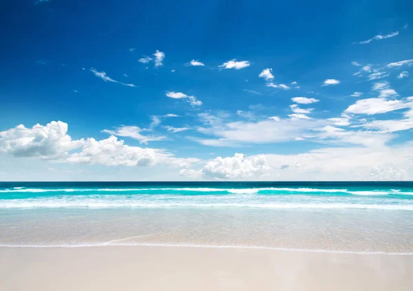 熱帯のビーチ モルディブ自然風景で — ストック写真