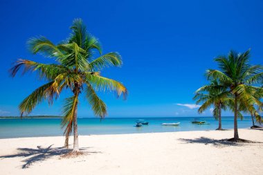 temiz deniz ve Maldivler mavi gökyüzü ile tropikal plaj