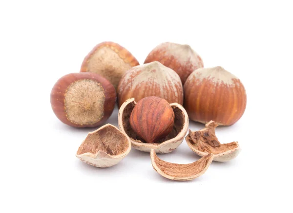 Close Hazelnuts Nuts Isolated White Background — Stock Photo, Image