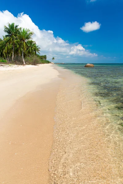 Tropisk Strand Med Rent Hav Och Blå Himmel Maldiverna — Stockfoto